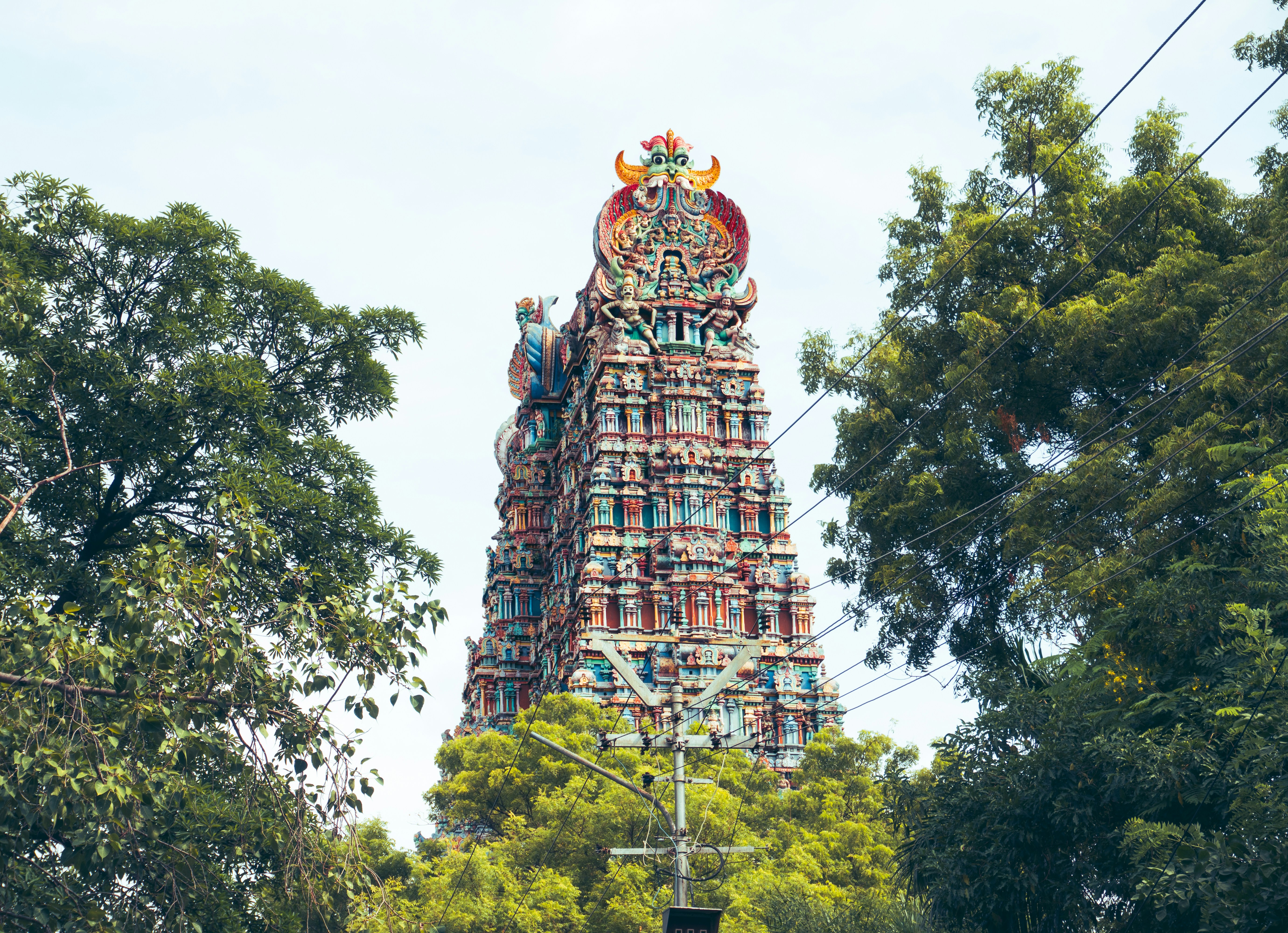 ATM Travels Chennai office